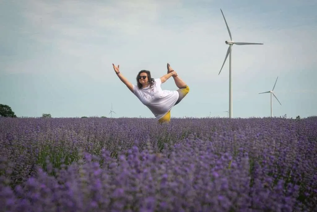 Lavender fields and wind turbines, Shabla, Bulgaria