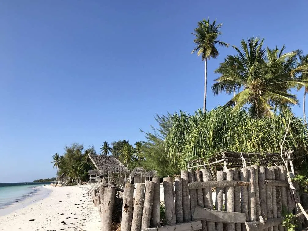 10-day Tanzania and Zanzibar itinerary - Michamwi