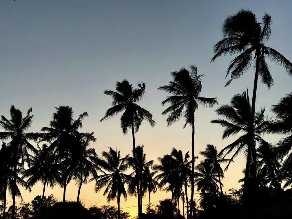 10-day Tanzania and Zanzibar itinerary - The Rock restaurant