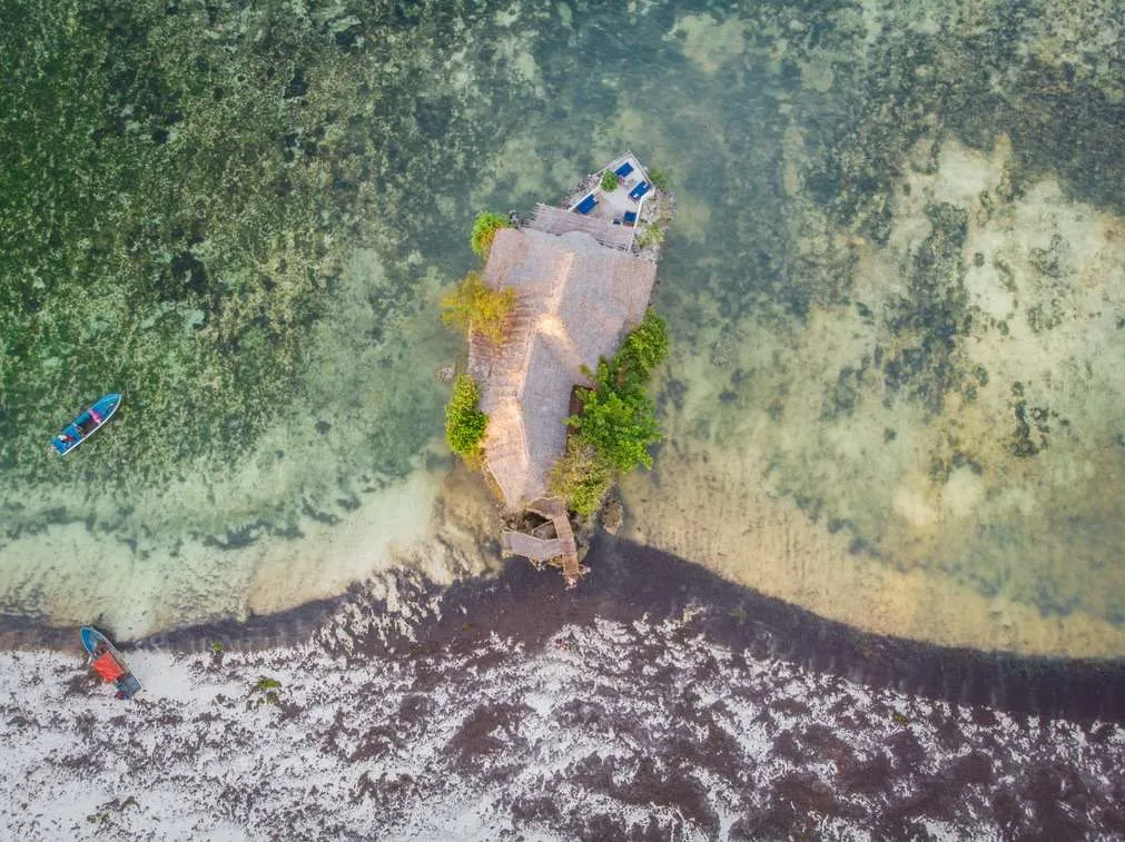 10-day Tanzania and Zanzibar itinerary - The Rock restaurant dron