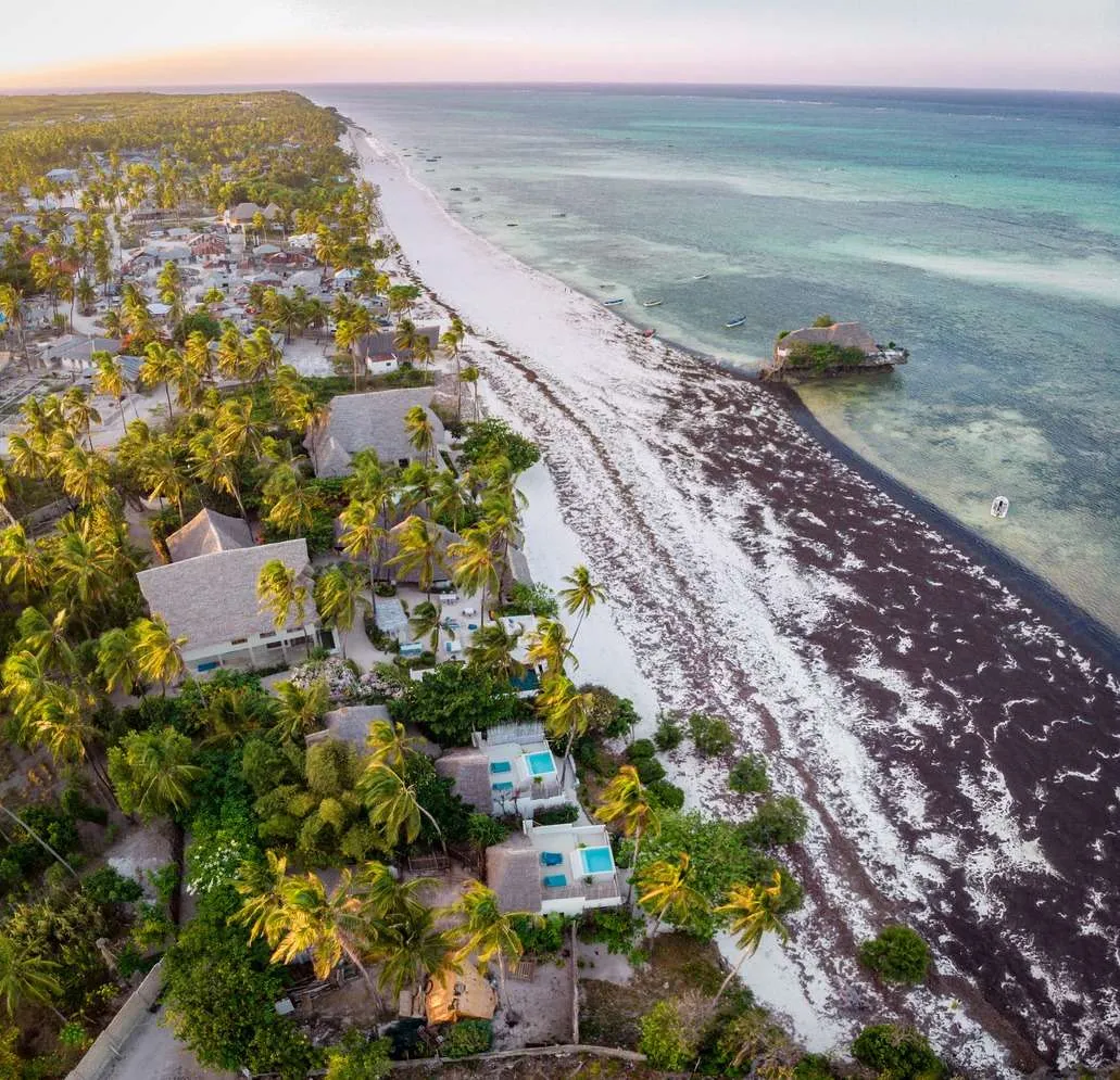 10-day Tanzania and Zanzibar itinerary - The Rock restaurant