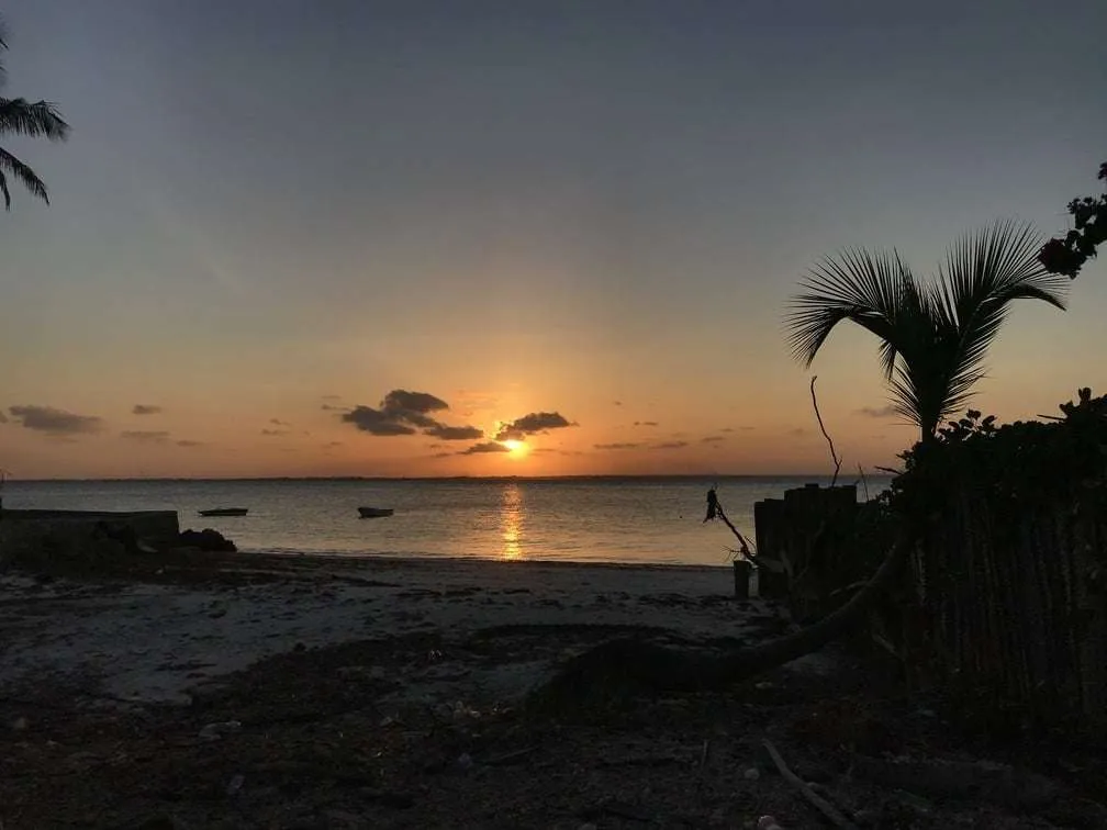 10-day Tanzania and Zanzibar itinerary - Michamwi