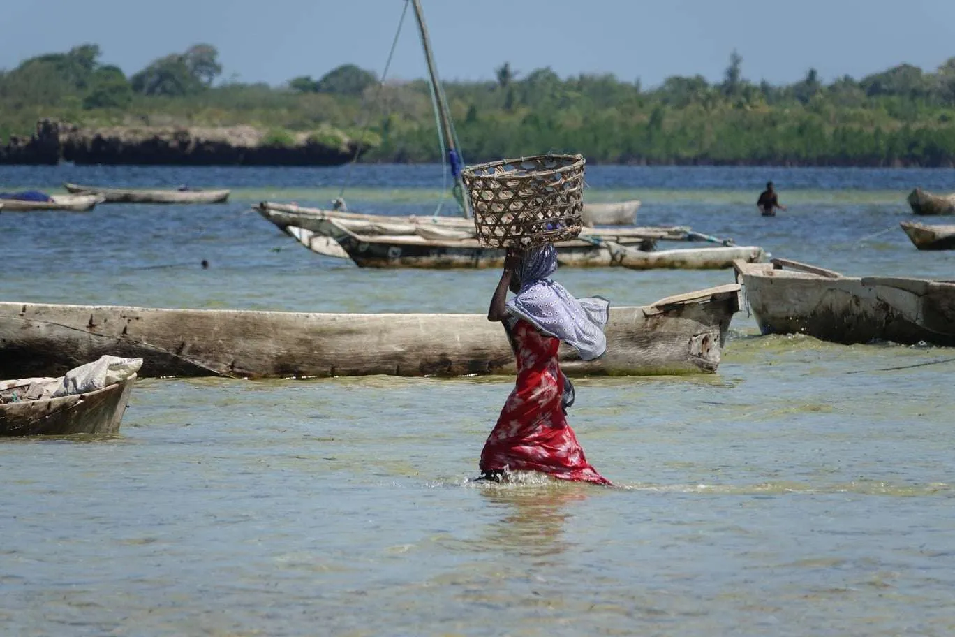 10-day Tanzania and Zanzibar itinerary - Eastern coastline of Zanzibar
