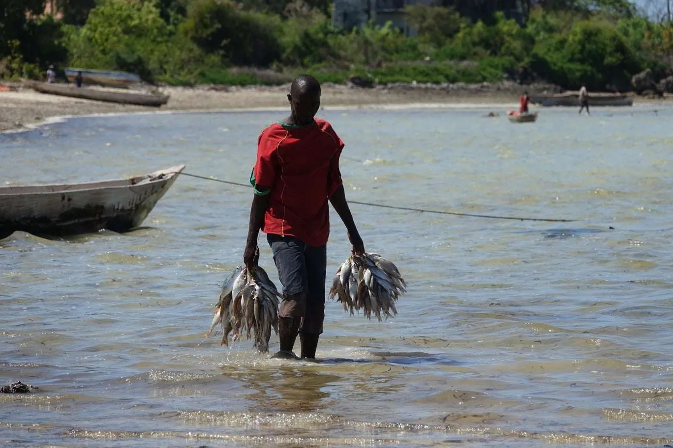 10-day Tanzania and Zanzibar itinerary - Eastern coastline of Zanzibar