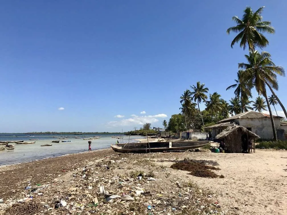 10-day Tanzania and Zanzibar itinerary - Eastern coastline of Zanzibar