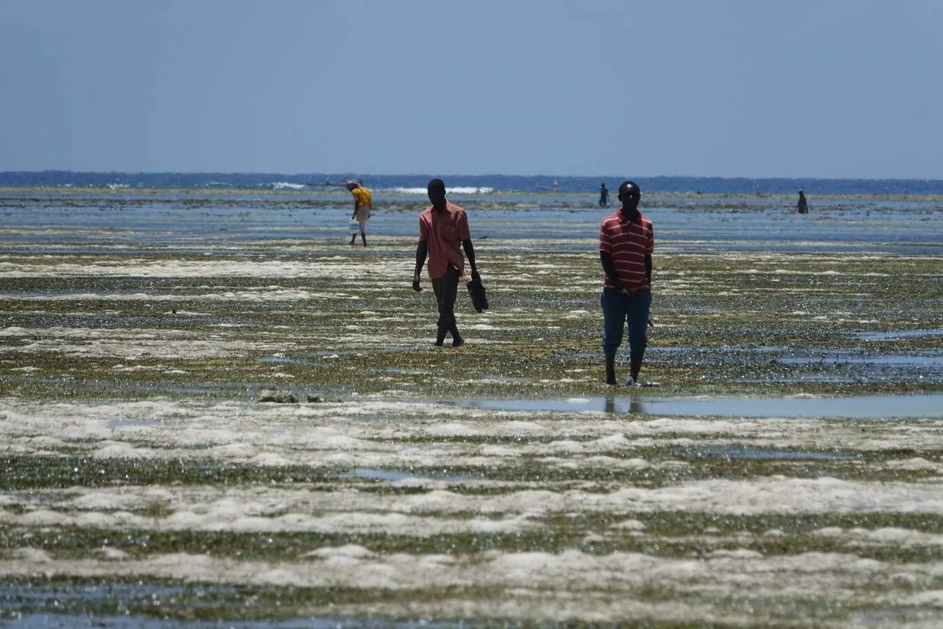 10-day Tanzania and Zanzibar itinerary - Eastern coastline of Zanzibar