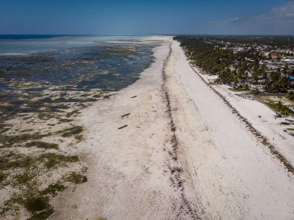 10-day Tanzania and Zanzibar itinerary - Eastern coastline of Zanzibar