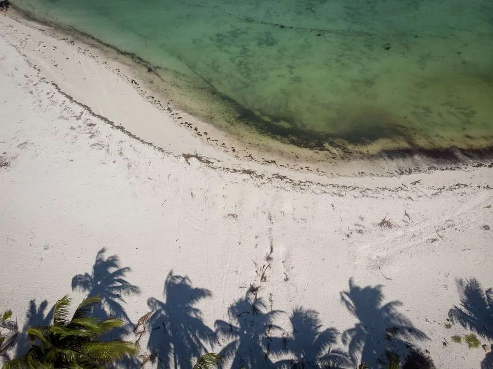 10-day Tanzania and Zanzibar itinerary - Eastern coastline of Zanzibar
