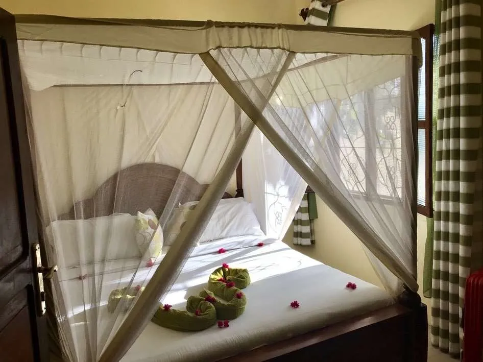 10-day Tanzania and Zanzibar itinerary - Nungwi