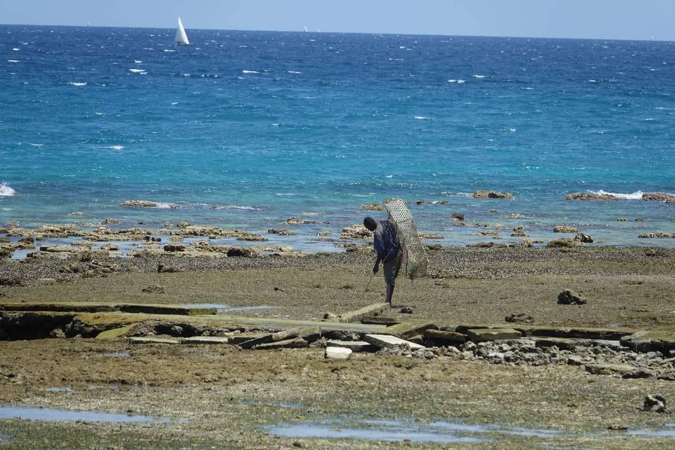 10-day Tanzania and Zanzibar itinerary - Western coastline of Zanzibar