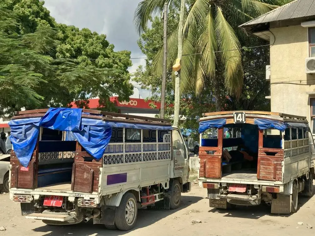10-day Tanzania and Zanzibar itinerary - dala dala