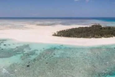 Things to do in Zanzibar island