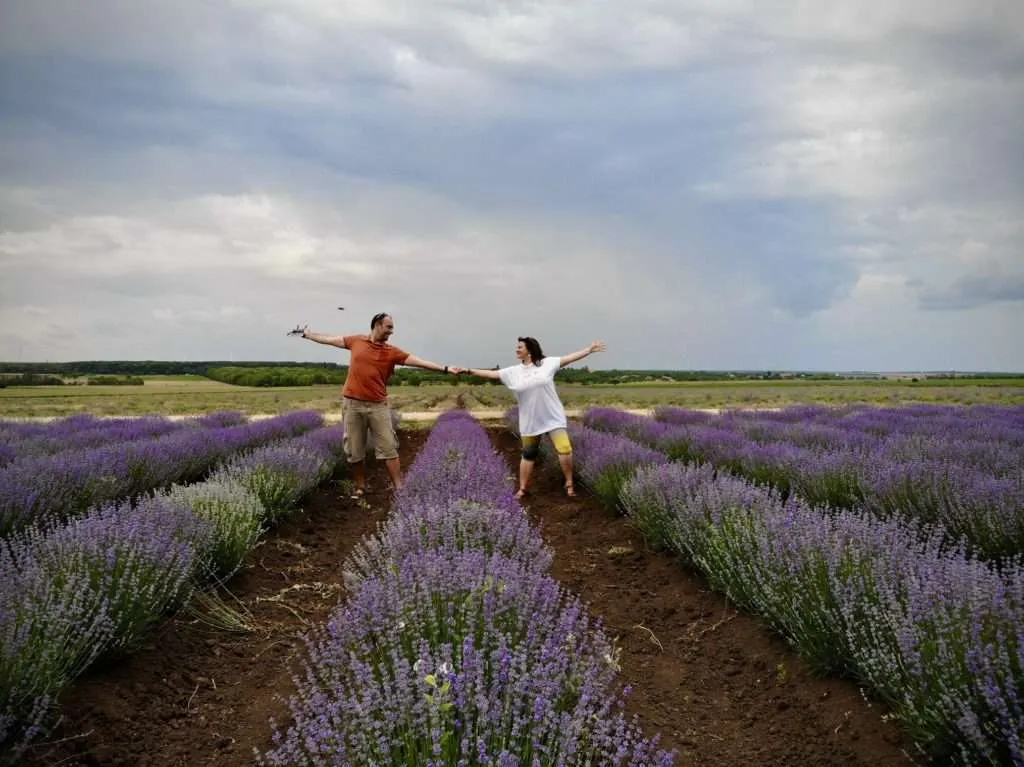 Lavender fields, Shabla, Bulgaria
