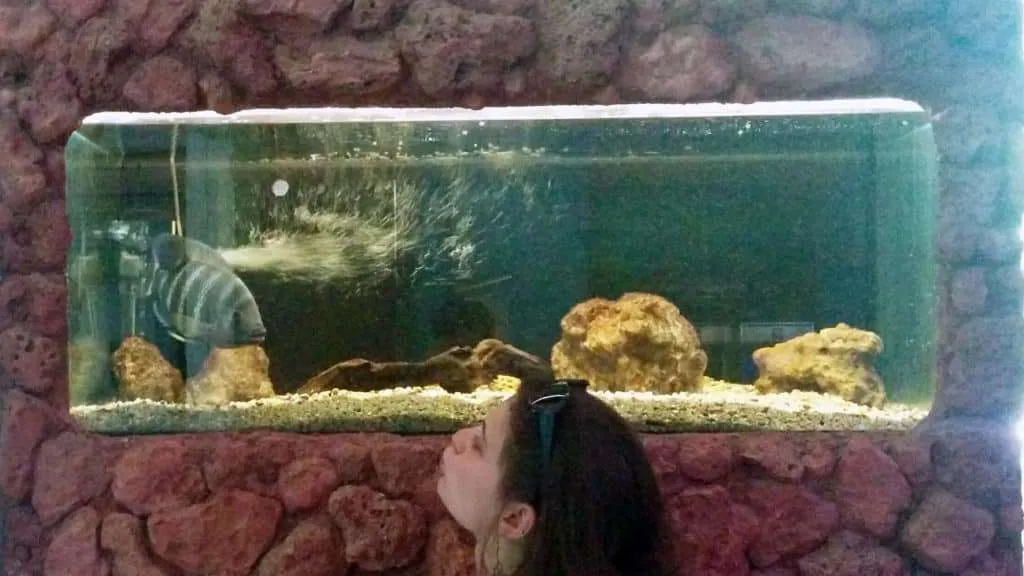 kids enjoy the Varna Aquarium