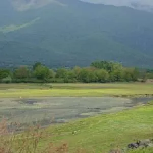 Greece, Lake Kerkini birdwatching biking tour