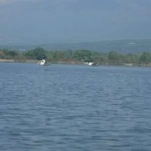 Greece, Lake Kerkini birdwatching biking tour
