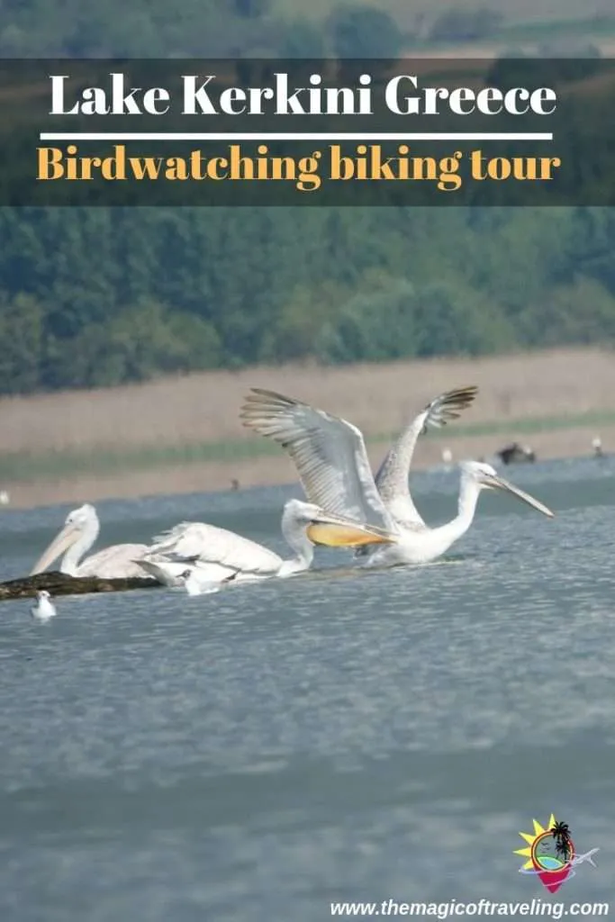 Lake Kerkini Greece - Birdwatching biking tour