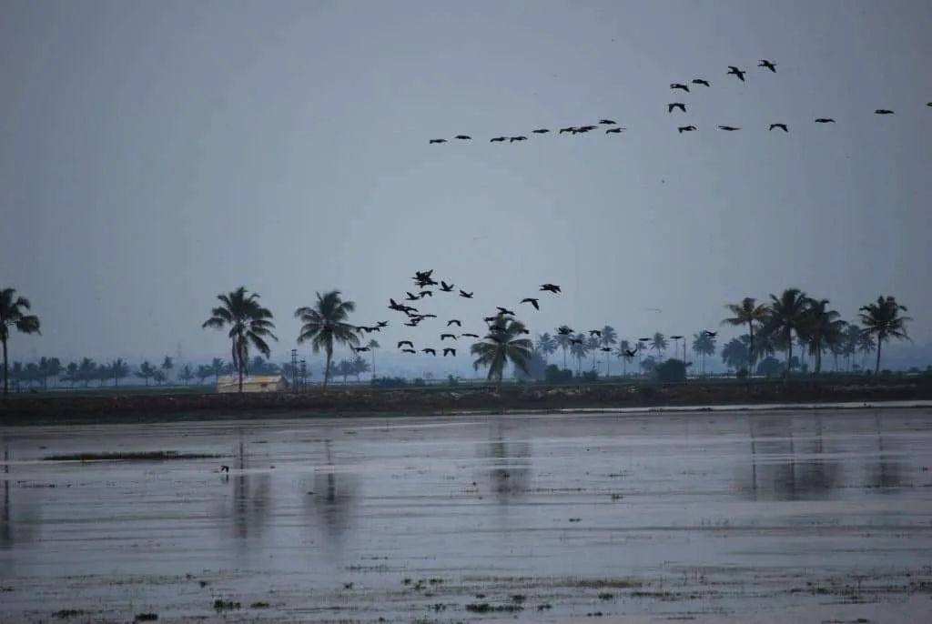 India travel, houseboat on Kerala backwaters