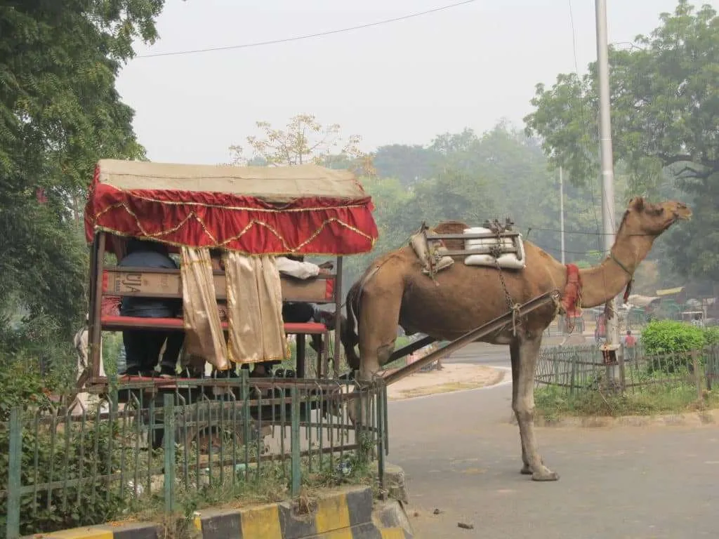 Explore India, The Taj Mahal