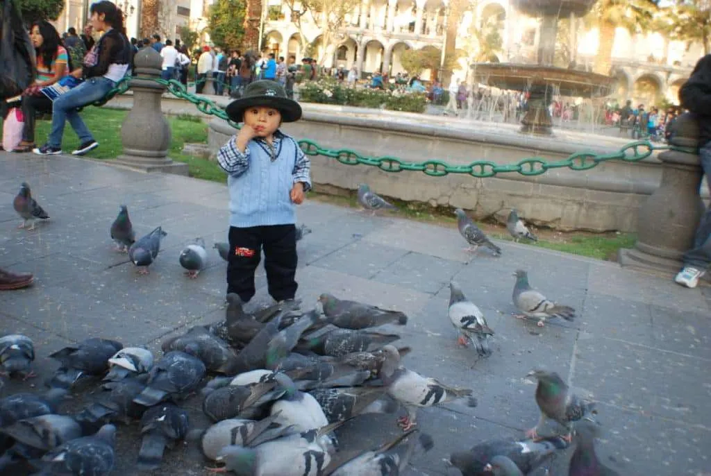 10 days in Peru itinerary - Arequipa