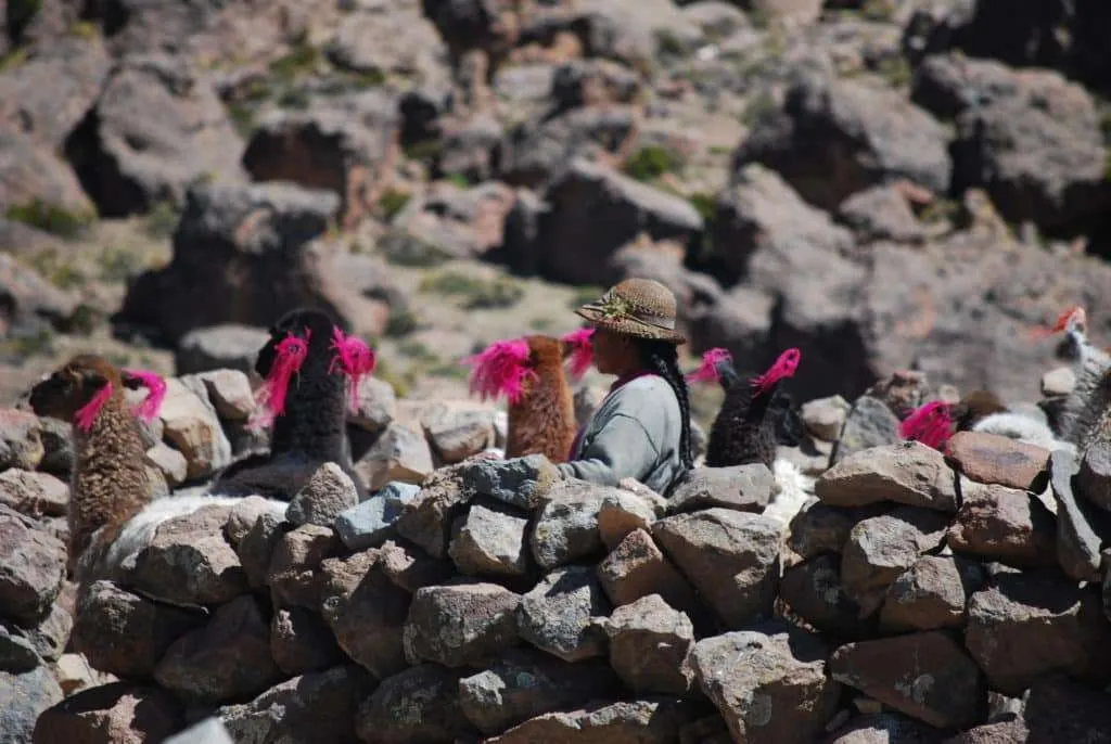10 days in Peru itinerary - Colca Valley