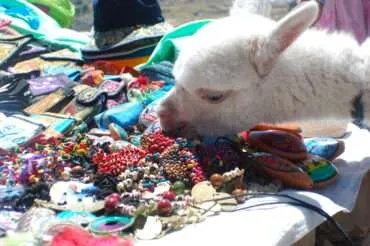 10 days in Peru – our itinerary in the Land of the Incas