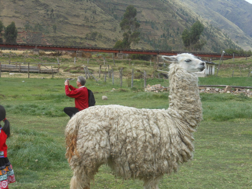 10 days in Peru itinerary - The route of the sun