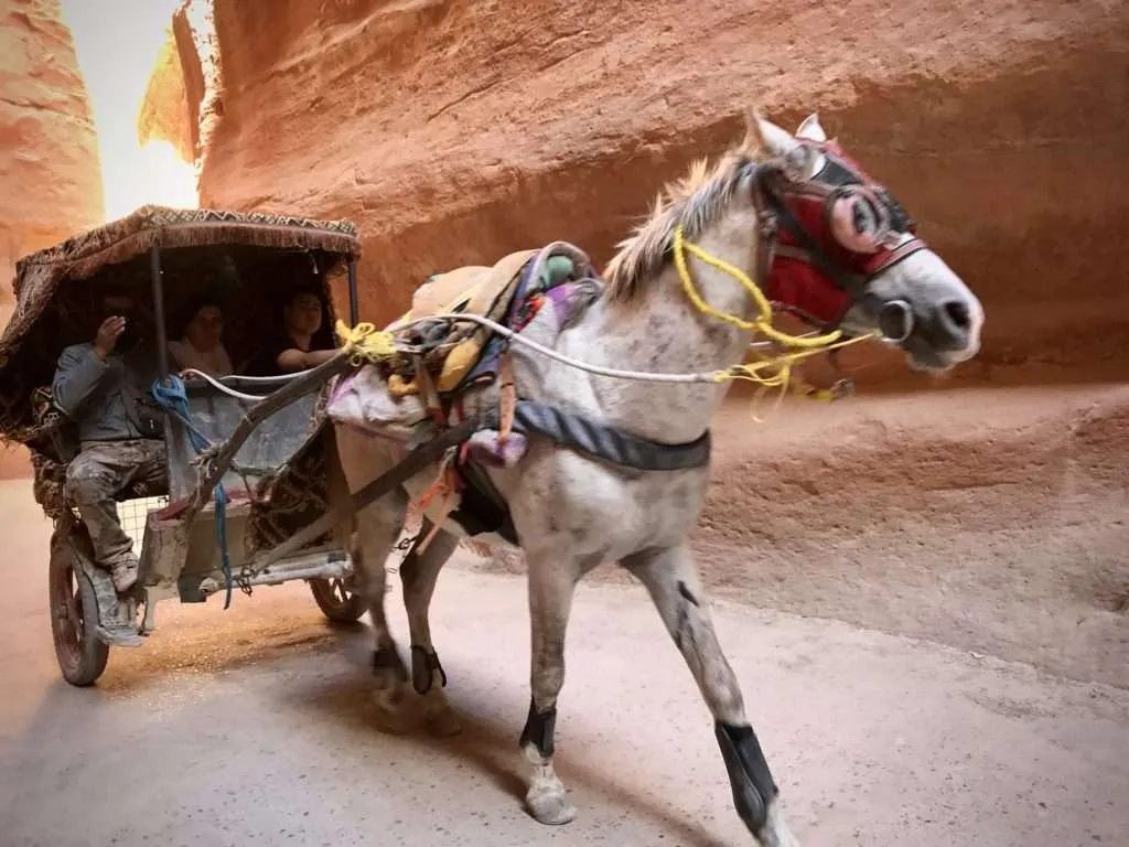 Jordan, visiting Petra, the Siq