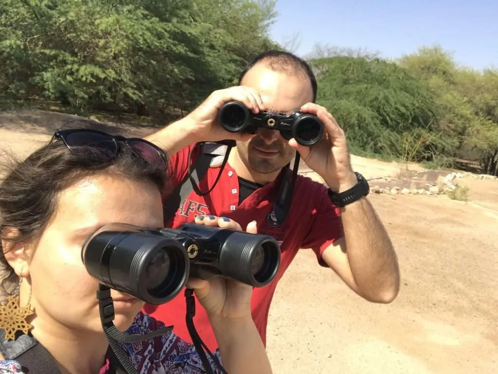 Jordan itinerary - Aqaba Bird Observatory