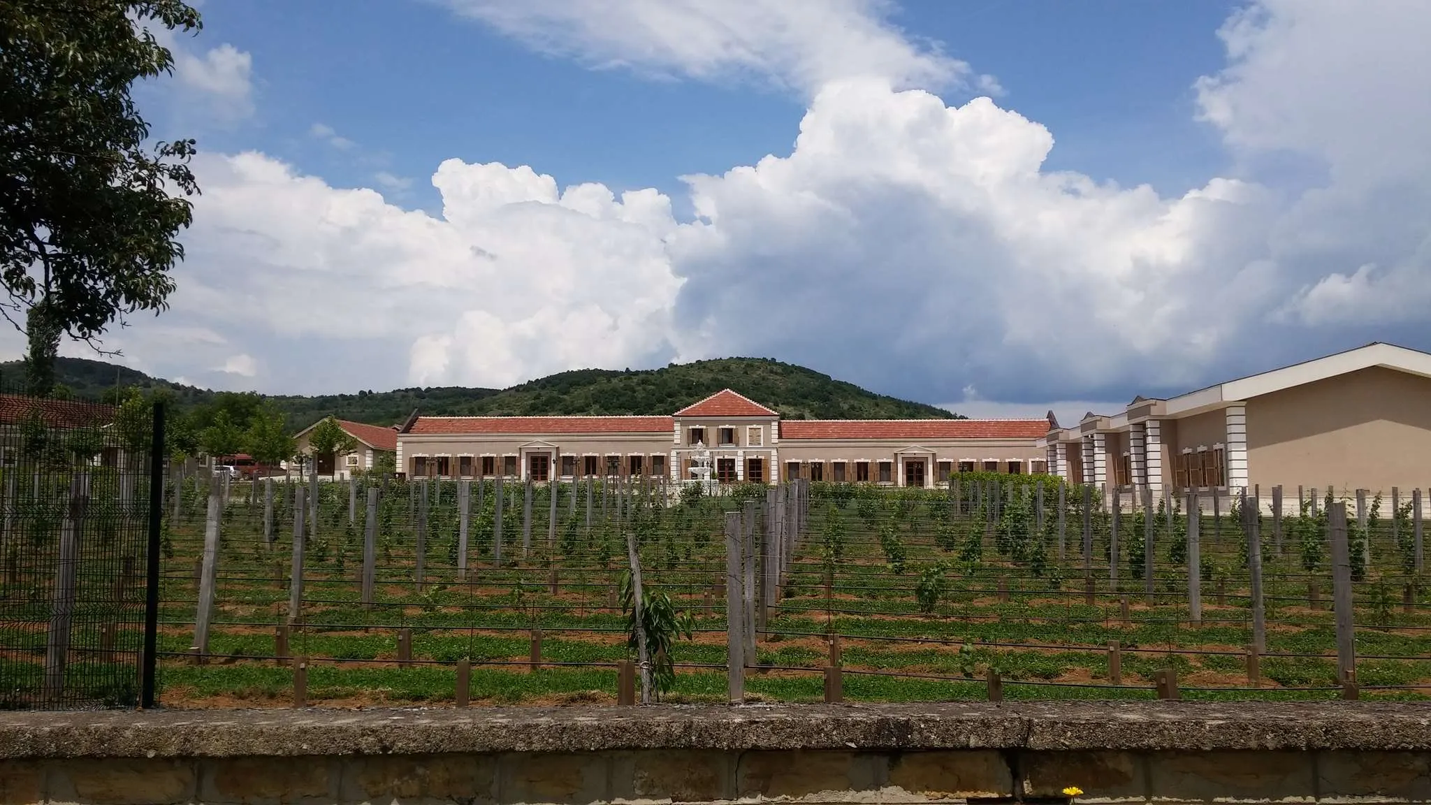 Midalidare Bulgarian winery