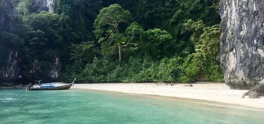 Want to travel to Thailand? Get the Thai Health Certificate!