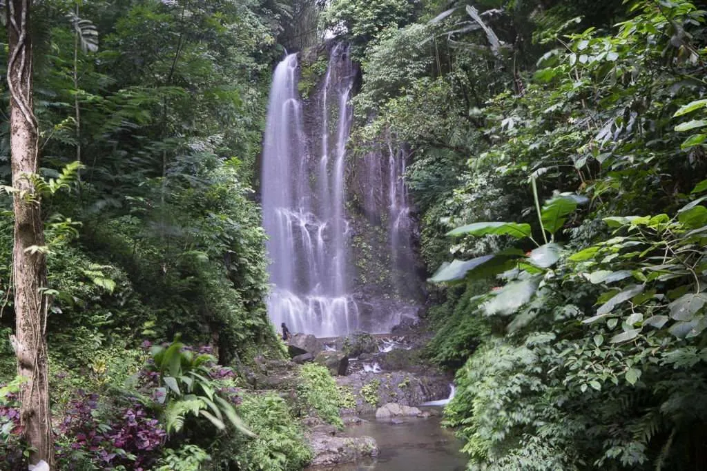 Munduk Waterfalls, 10 reasons to visit Munduk,Bali