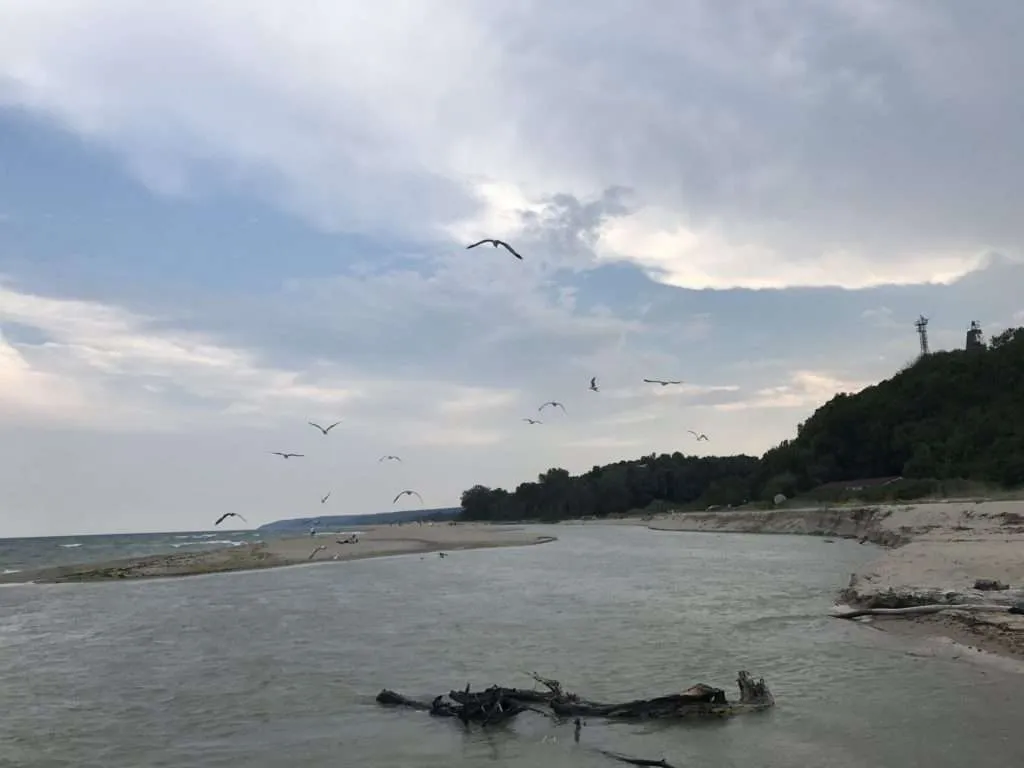 Kamchiya river, Kamchiyski pyasyci beach, Bulgaria