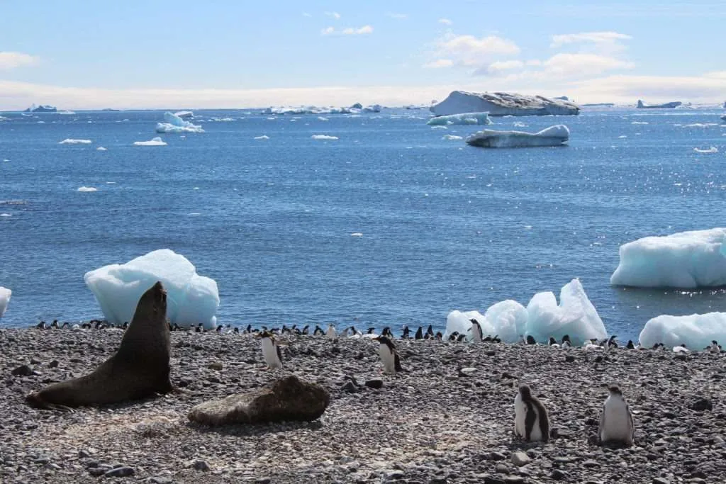 Transformative travel experiences: Antarctica
