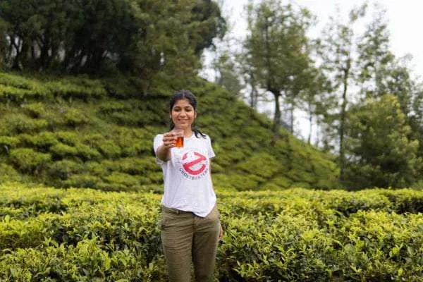 Transformative travel experiences: Tea Estate Munnar Kerala