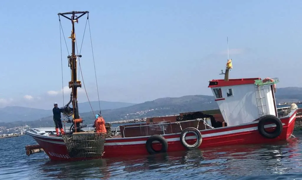 Things to do in Galicia - Rias Baixas, Ulla river