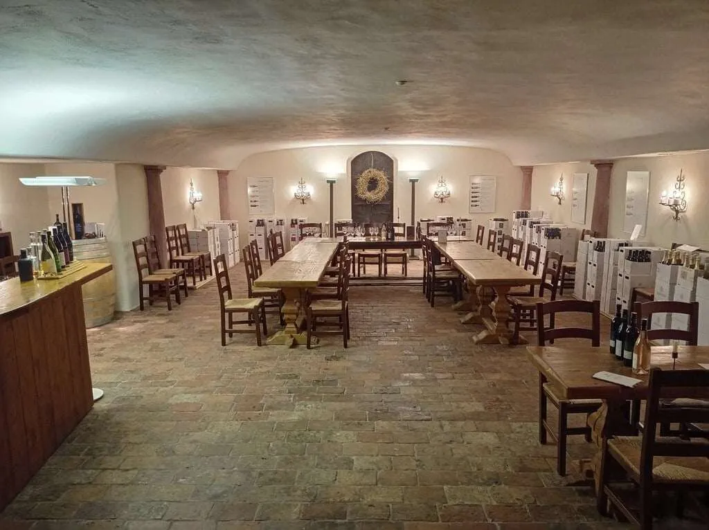 Wine tasting in Cellars of the Prince of Liechtenstein