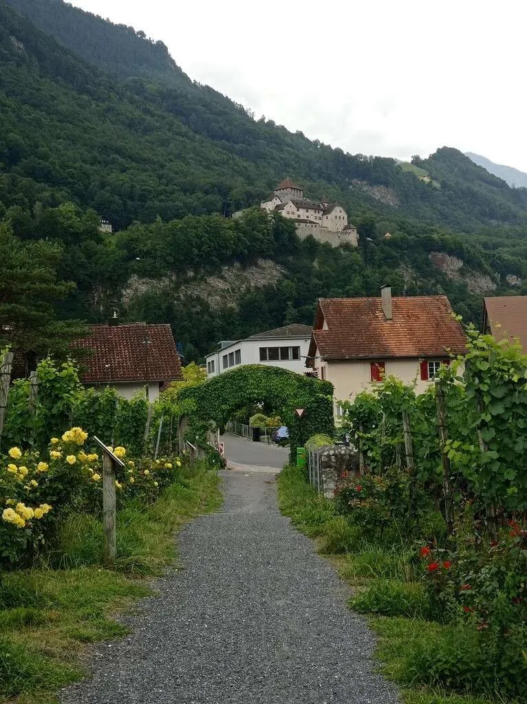 Vineyards and Cellars of the Prince of Liechtenstein