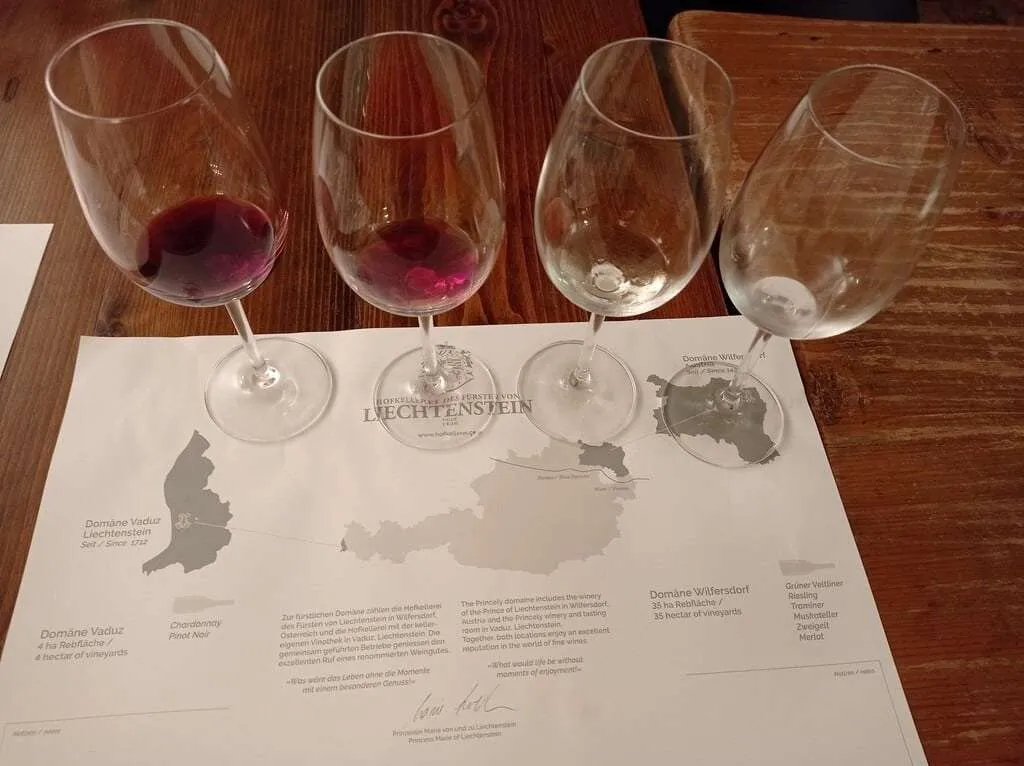 Wine tasting in Cellars of the Prince of Liechtenstein