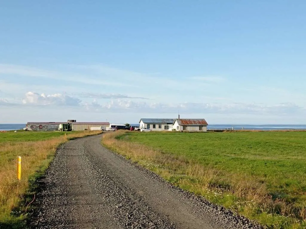 Experiential and unusual places to stay in Iceland: farm in Snaefellsness peninsula