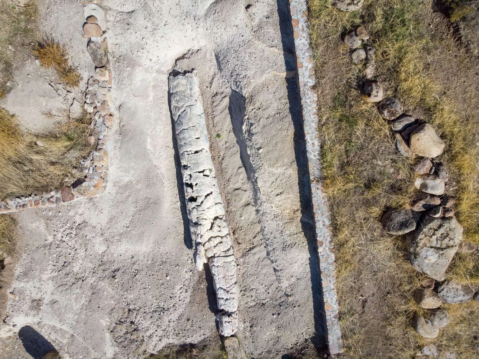 Lesbos island drone photos - Petrified Forest of Lesvos
