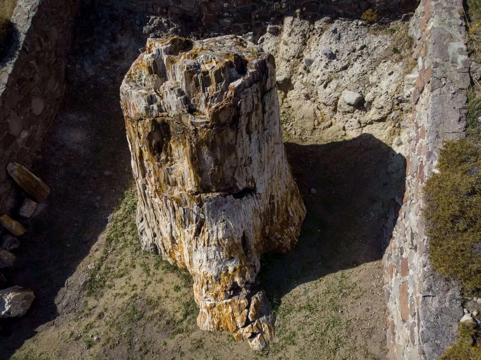 Lesbos island drone photos - Petrified Forest of Lesvos