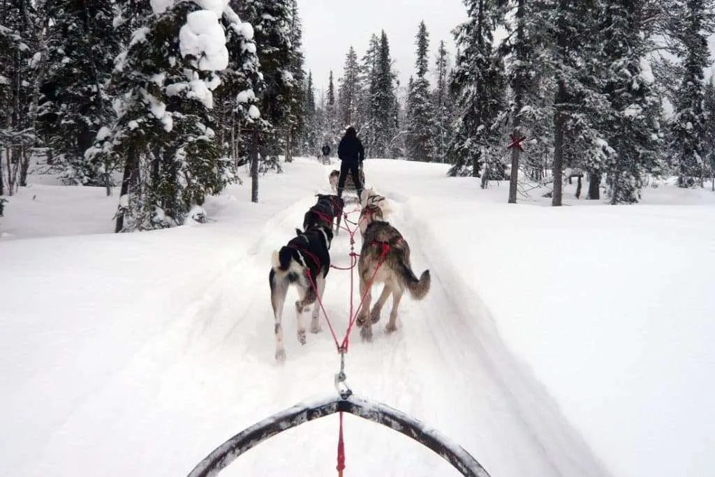 Ski resorts in Europe - Levi, Finland