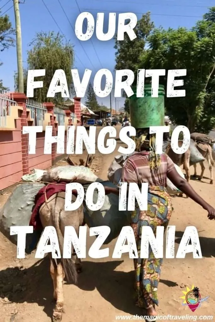 Our favorite things to do in Tanzania Pin