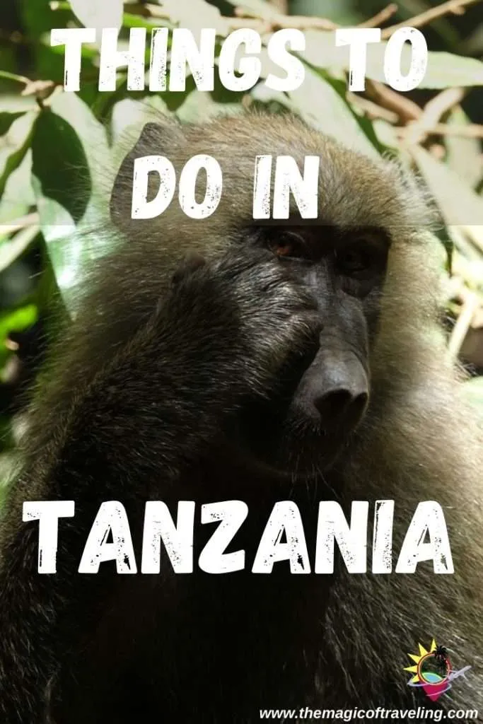 Things to do in Tanzania Pin