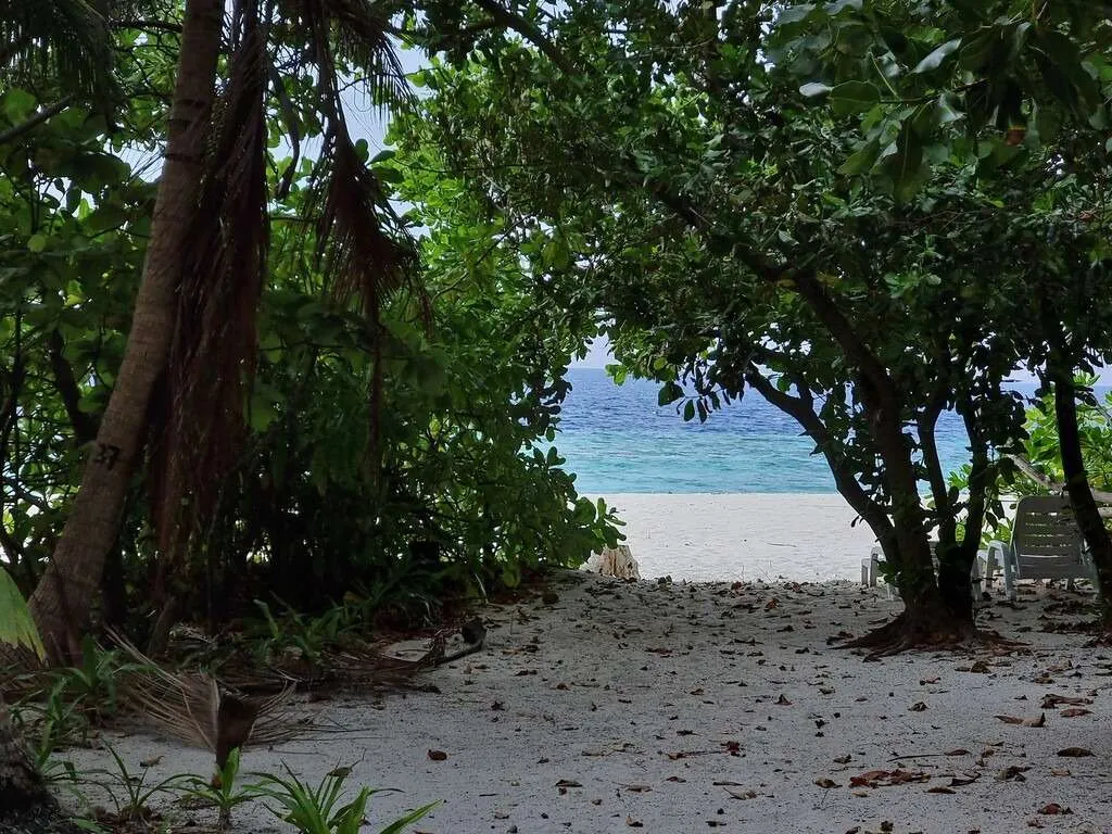 Maldives local islands - Fodhdhoo