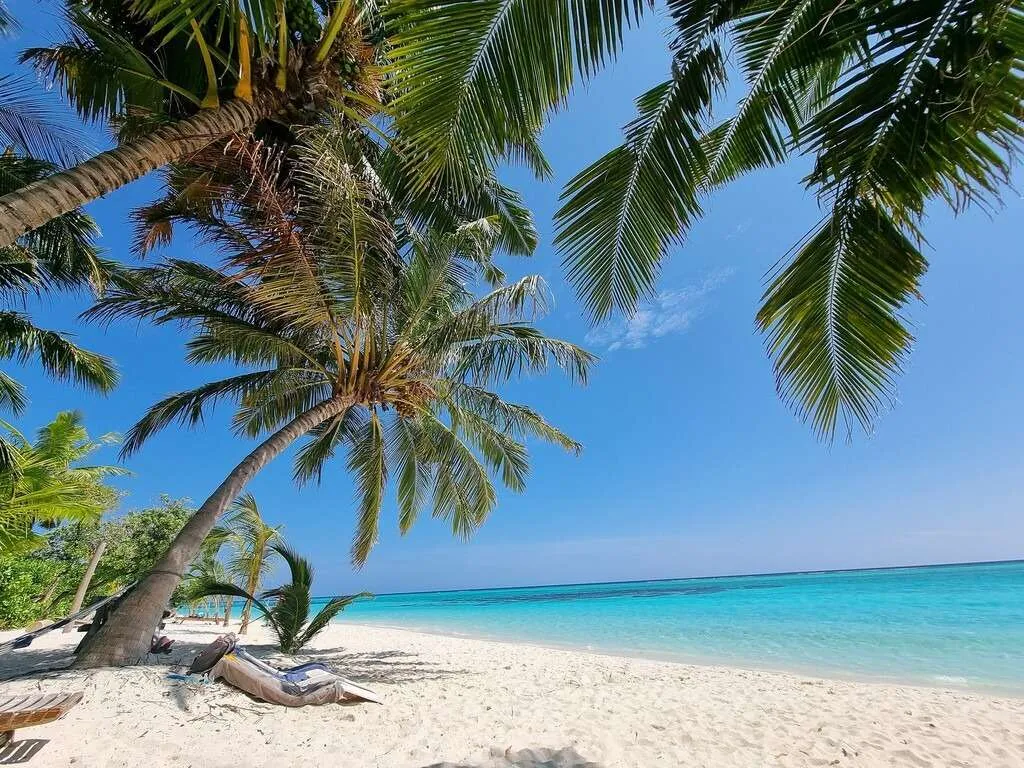 Maldives local islands - Thoddoo