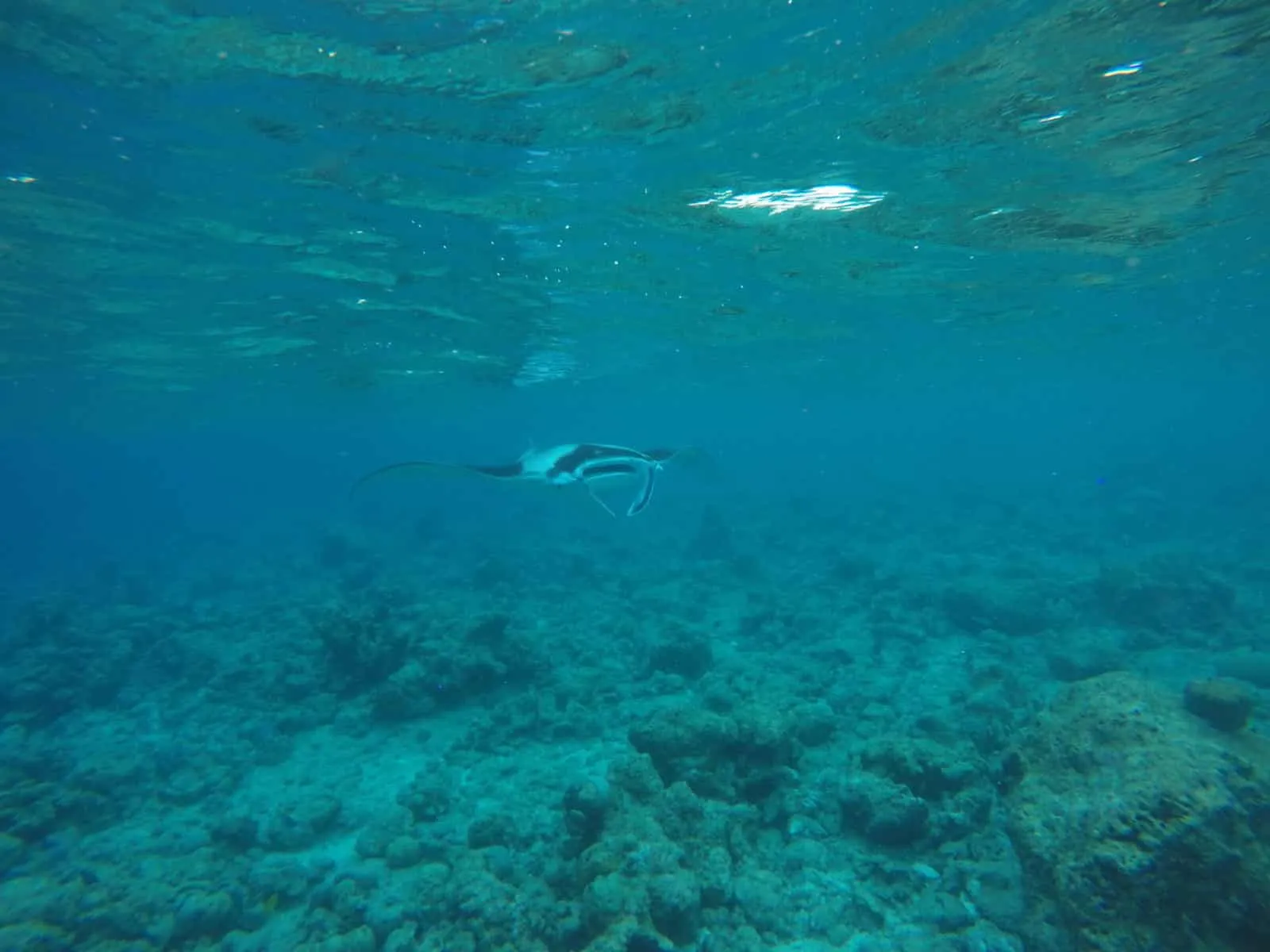 Planning a trip to Maldives local islands