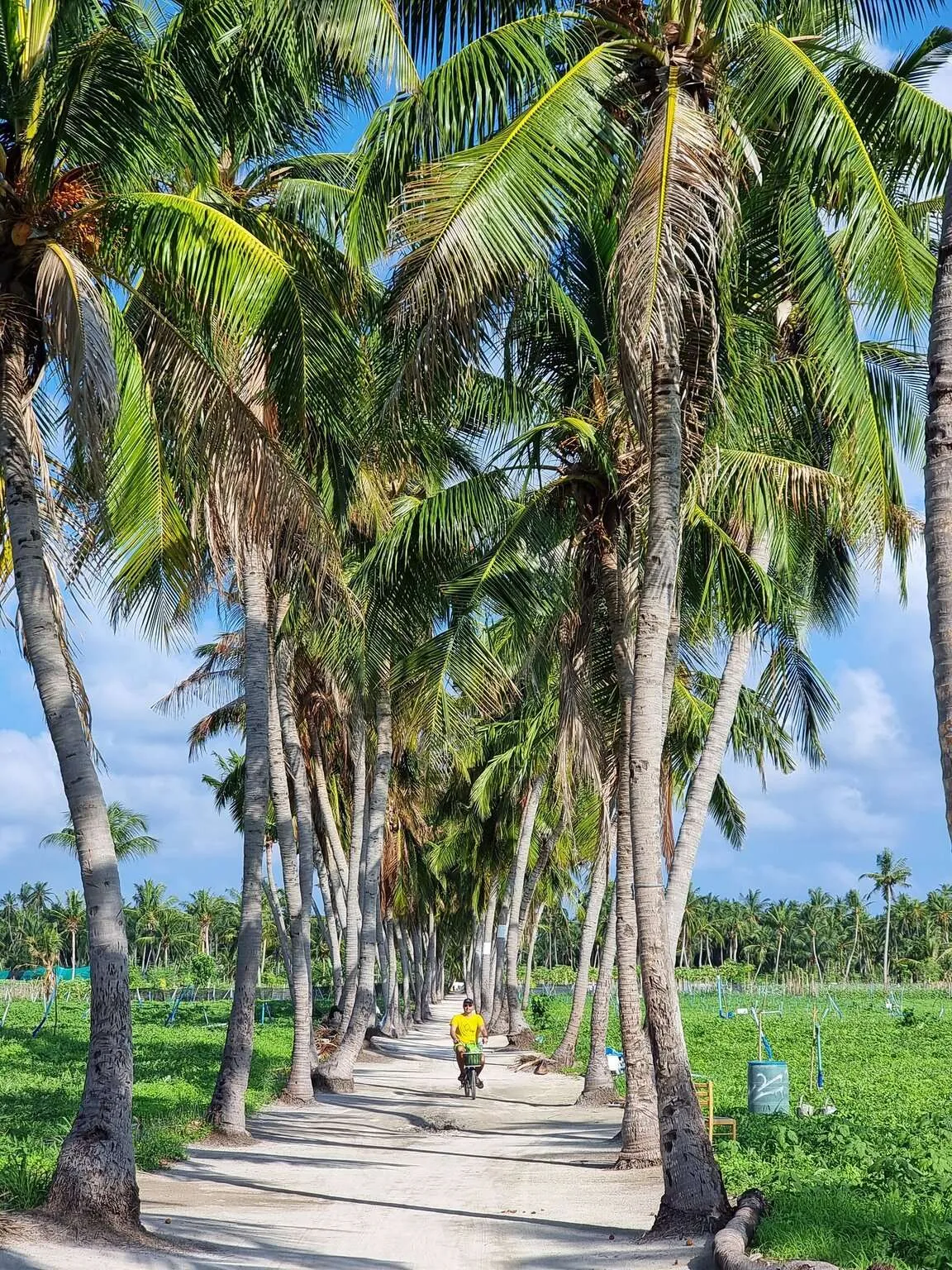 Planning a trip to Maldives local islands