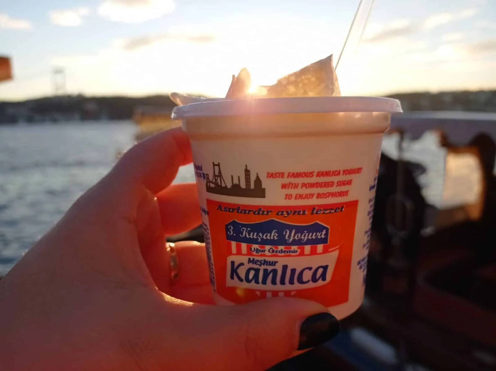 Yoghurt, Istanbul, Turkey